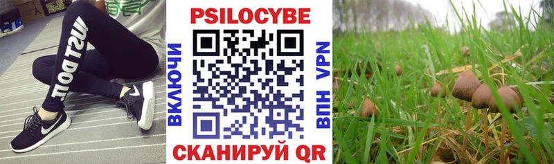 Галлюциногенные грибы MAGIC MUSHROOMS  Купить закладки  Свободный 